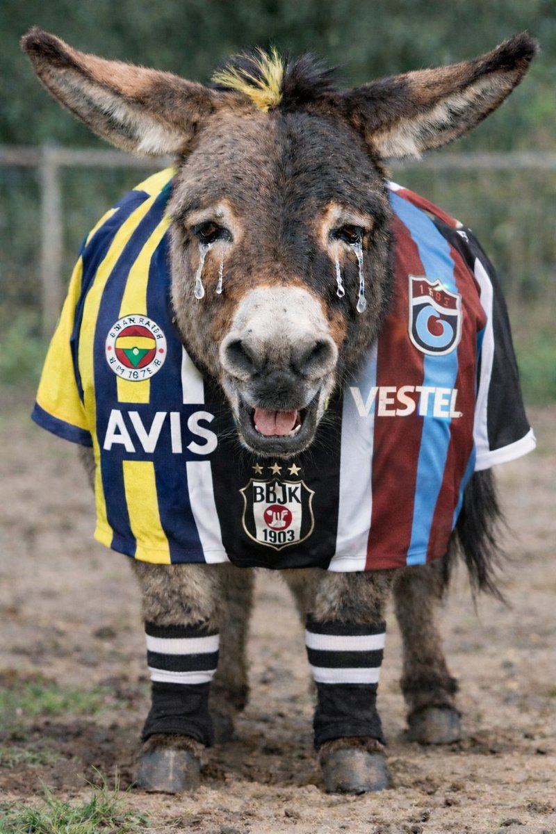 abuzittin tweet media