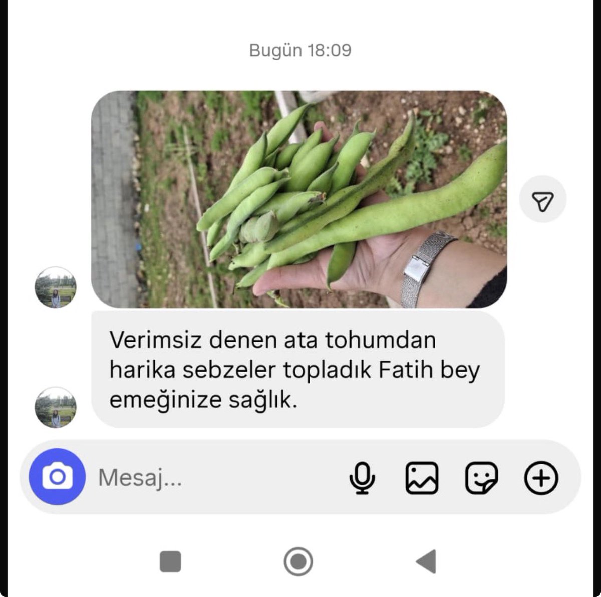 Fatih Çolak tweet media