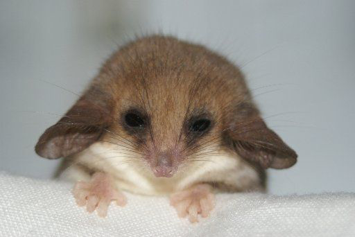 i need to lock in and create……….