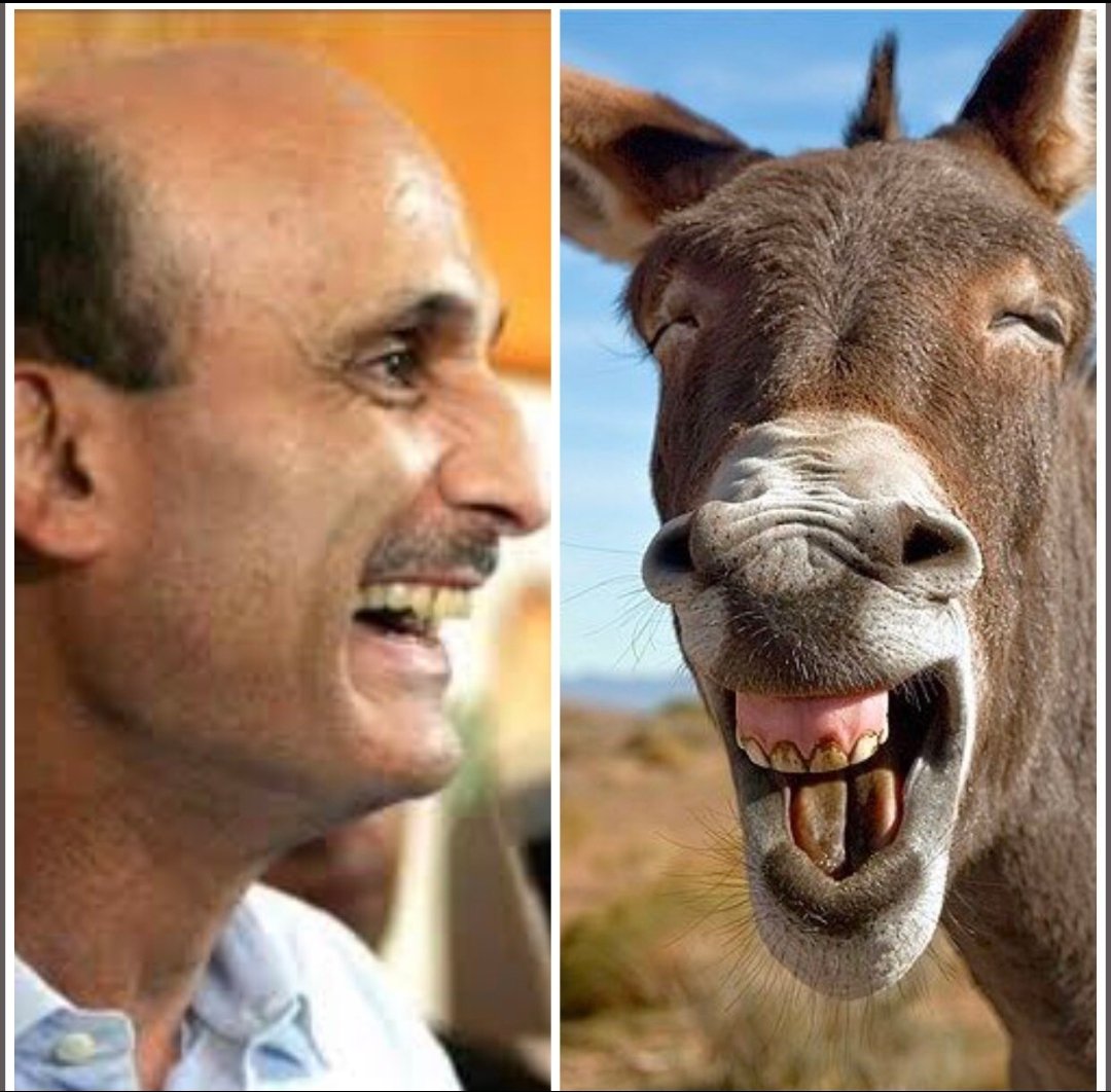 Fadi leb tweet media