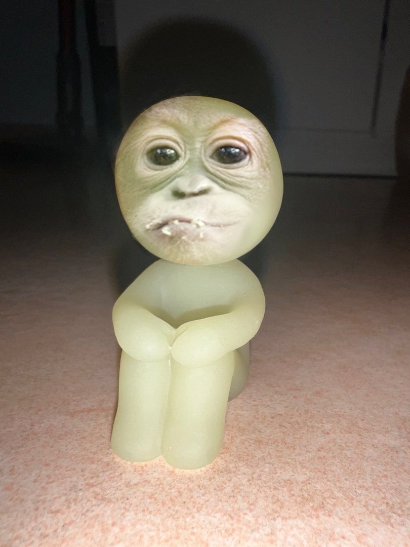 primateluvr tweet media