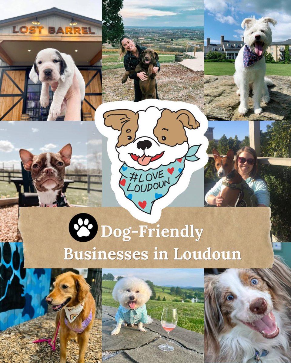 Visit Loudoun tweet media