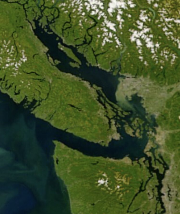 Su 🇨🇦 tweet media