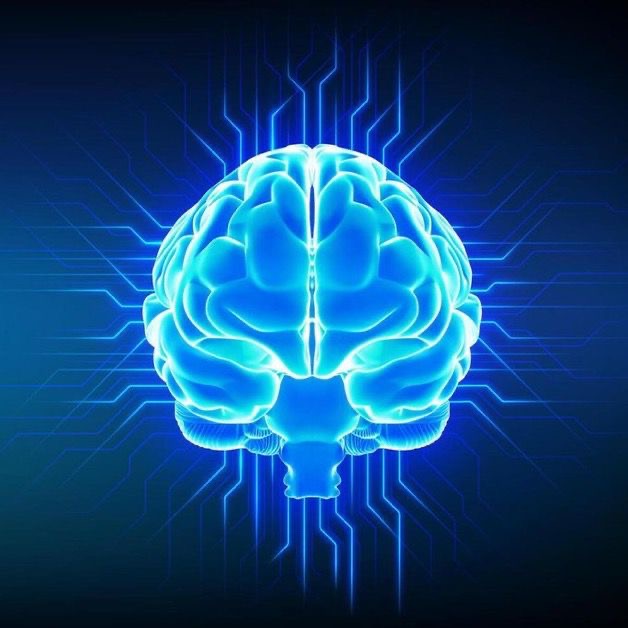 Celebs Arabic tweet media