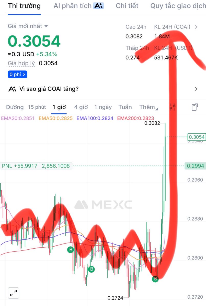 Tuan 9 Not Tái | Hodl meme will be rich |$$$$| tweet media