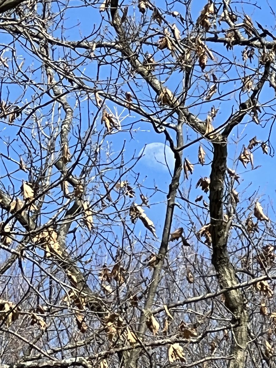 TimHundley4All's tweet image. Make it a great weekend!  Eat real food. Get outside. Ground yourself. Give extra hugs!  🥩🏃‍♂️🌞 #VitaminD (Photo - 4/11/22)