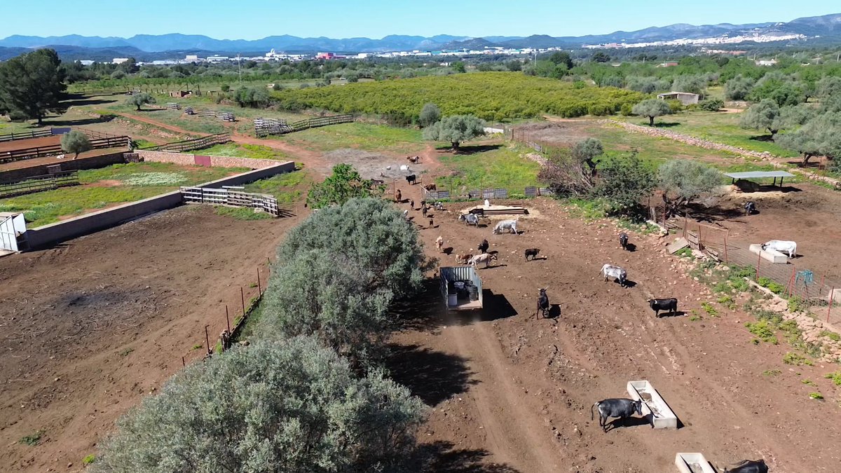 @pasion_zorzalera_p.z nos comparte esta imagen de una ganadería desde el cielo. 

#cazadoresenyoutube #caza