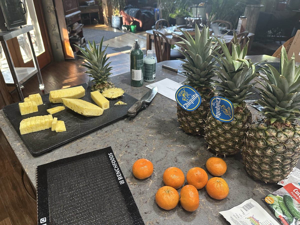 PatriotMom🇺🇸🇨🇦🇷🇺 🇺🇸🇺🇸 tweet media