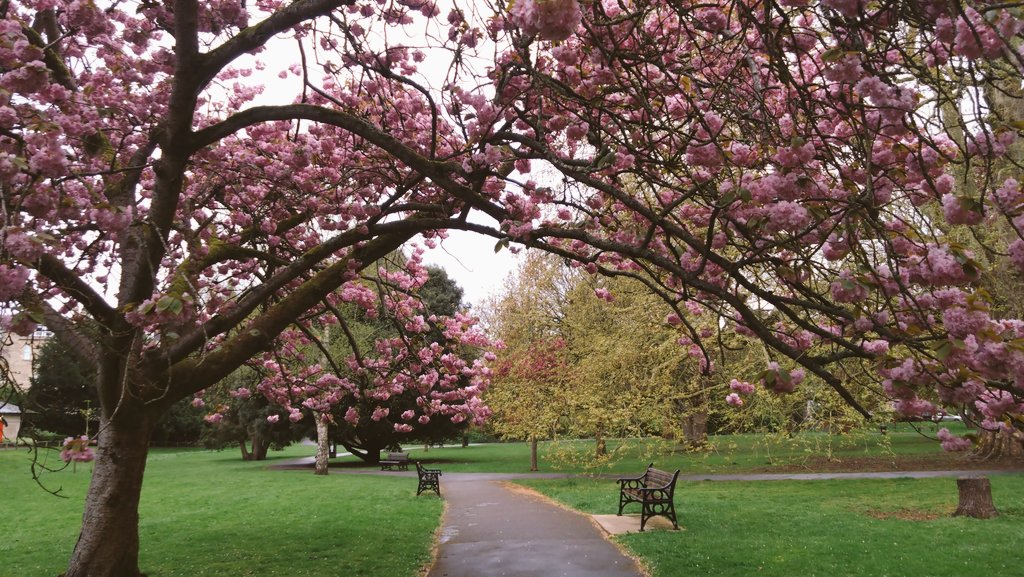 estellatwinkle tweet media