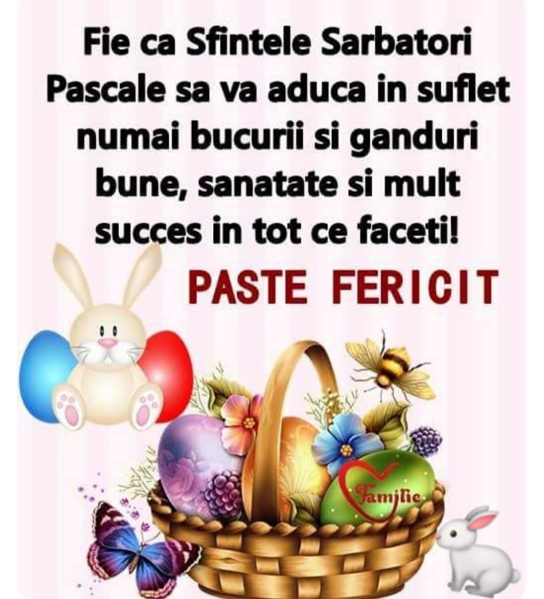 Dobreanu C. Bogdan tweet media