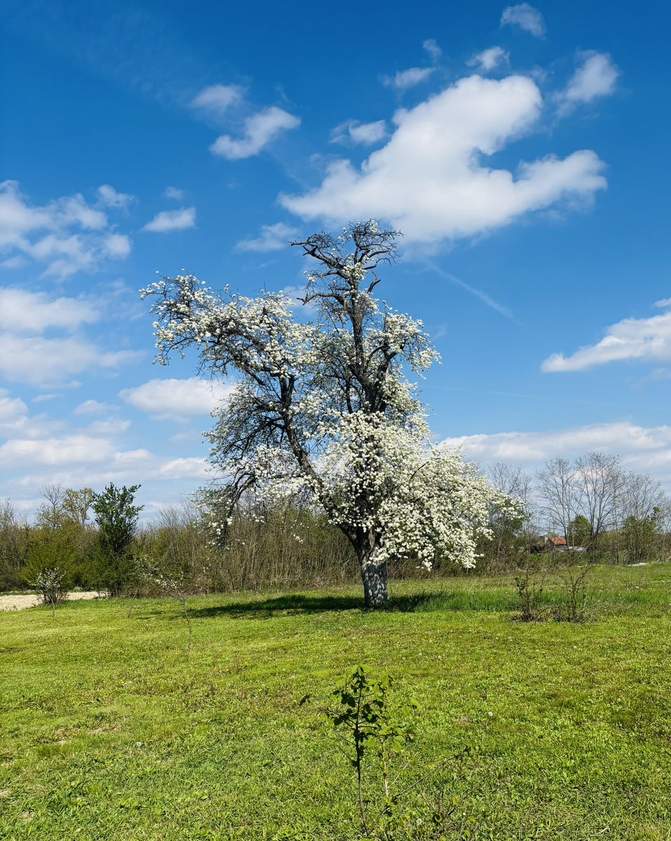 anseV🌤️ tweet media