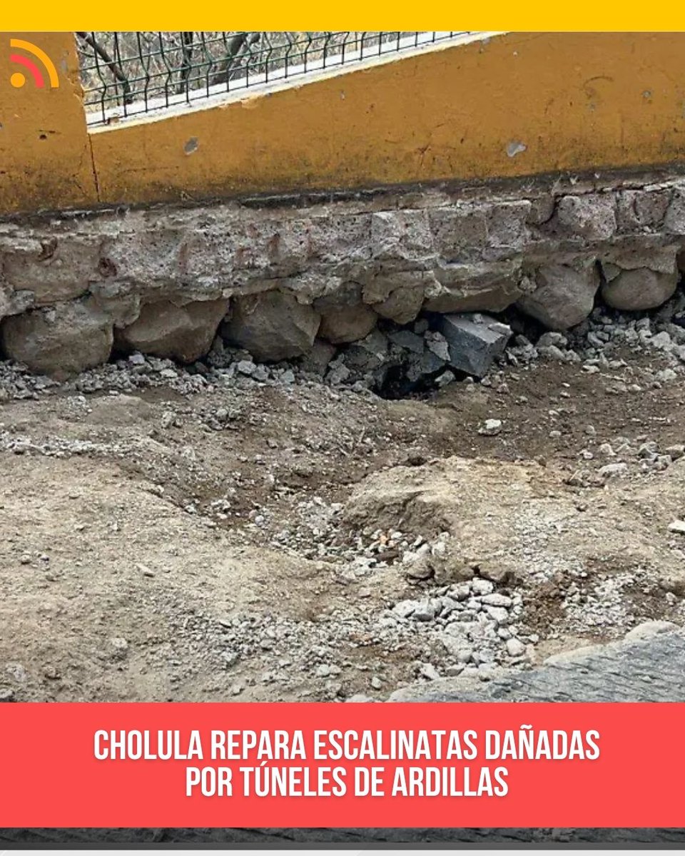 Diario Capital Informativo tweet media