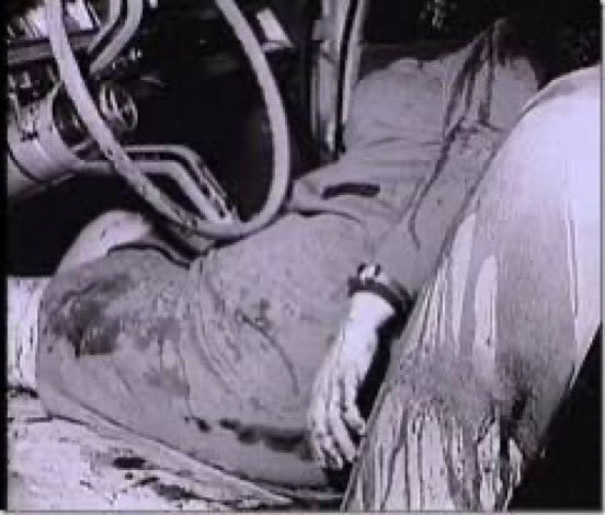 Jazz the Professor tweet media