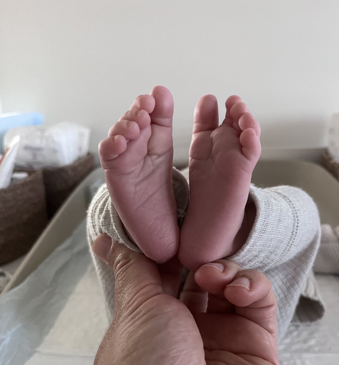 Cihat Bardak tweet media