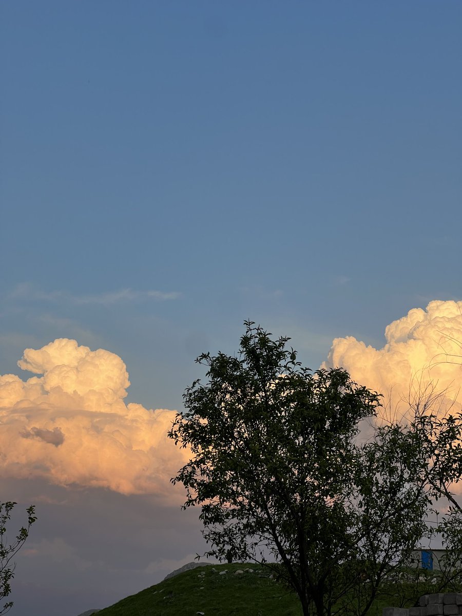 ڕازاو tweet media