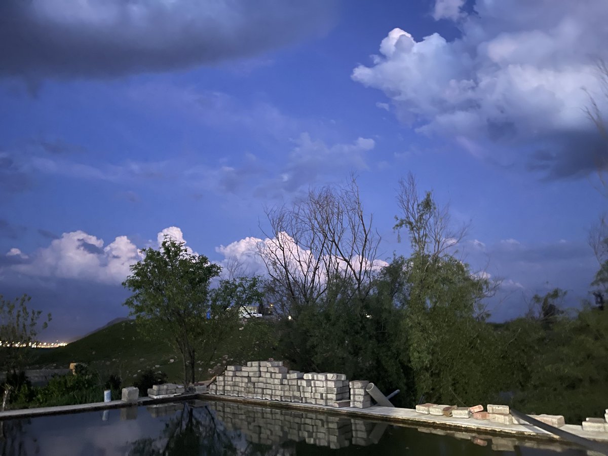 ڕازاو tweet media