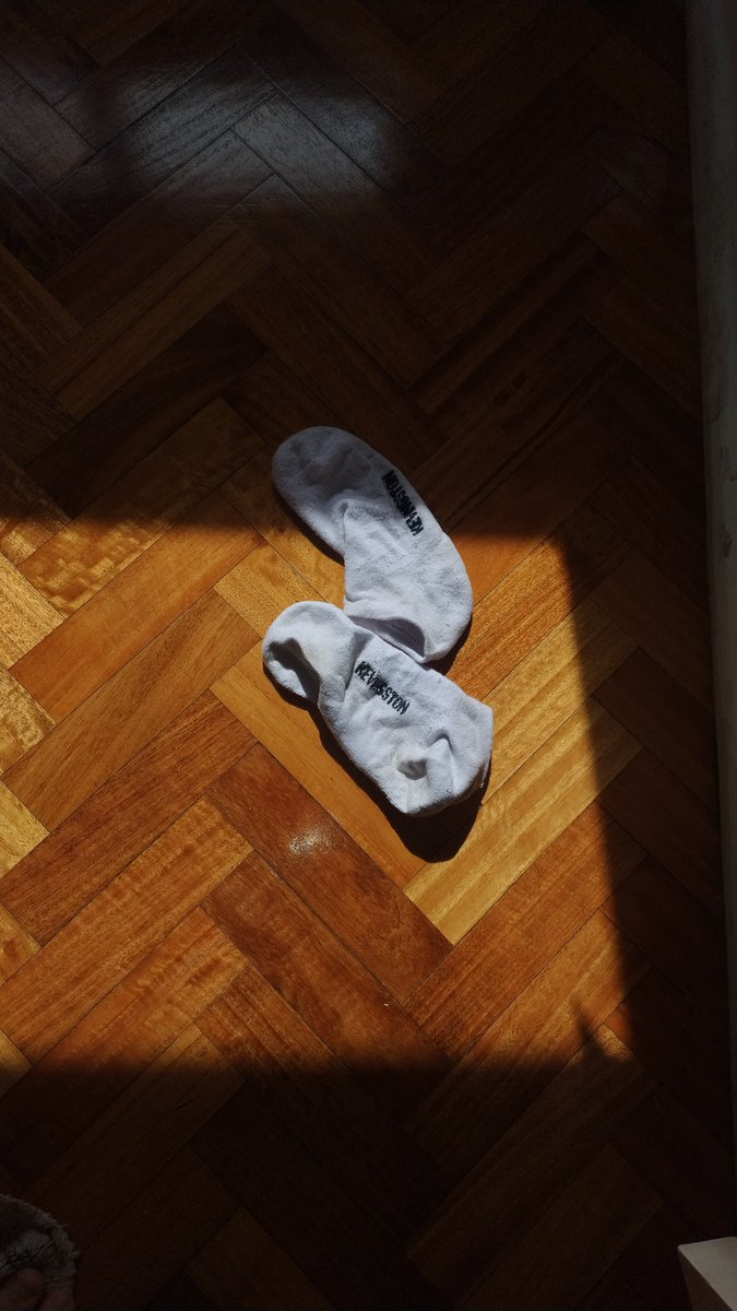 Siento que mis hijos están desesperados por liberar a Dobby y a todos los demás elfos domesticos