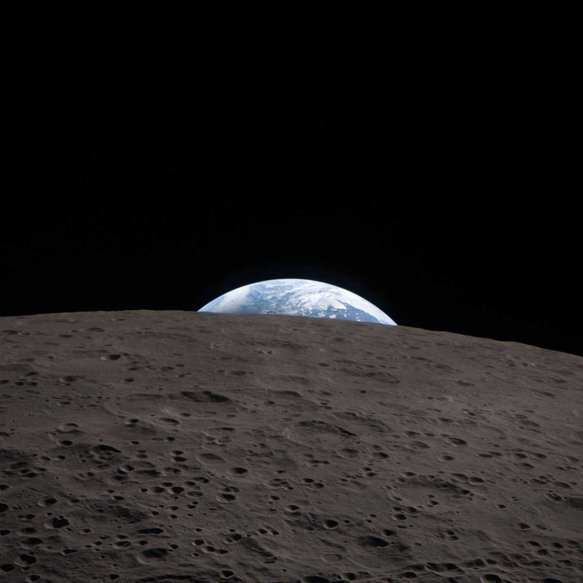 Saganism tweet media