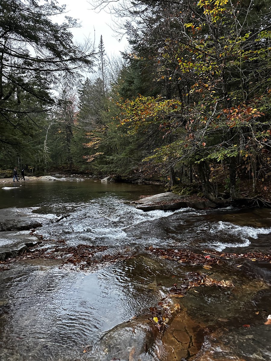 Kushal Desai tweet media