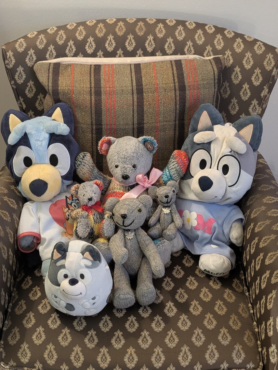 BiddieBunnies's tweet image. We love you 😘 #sat #trending