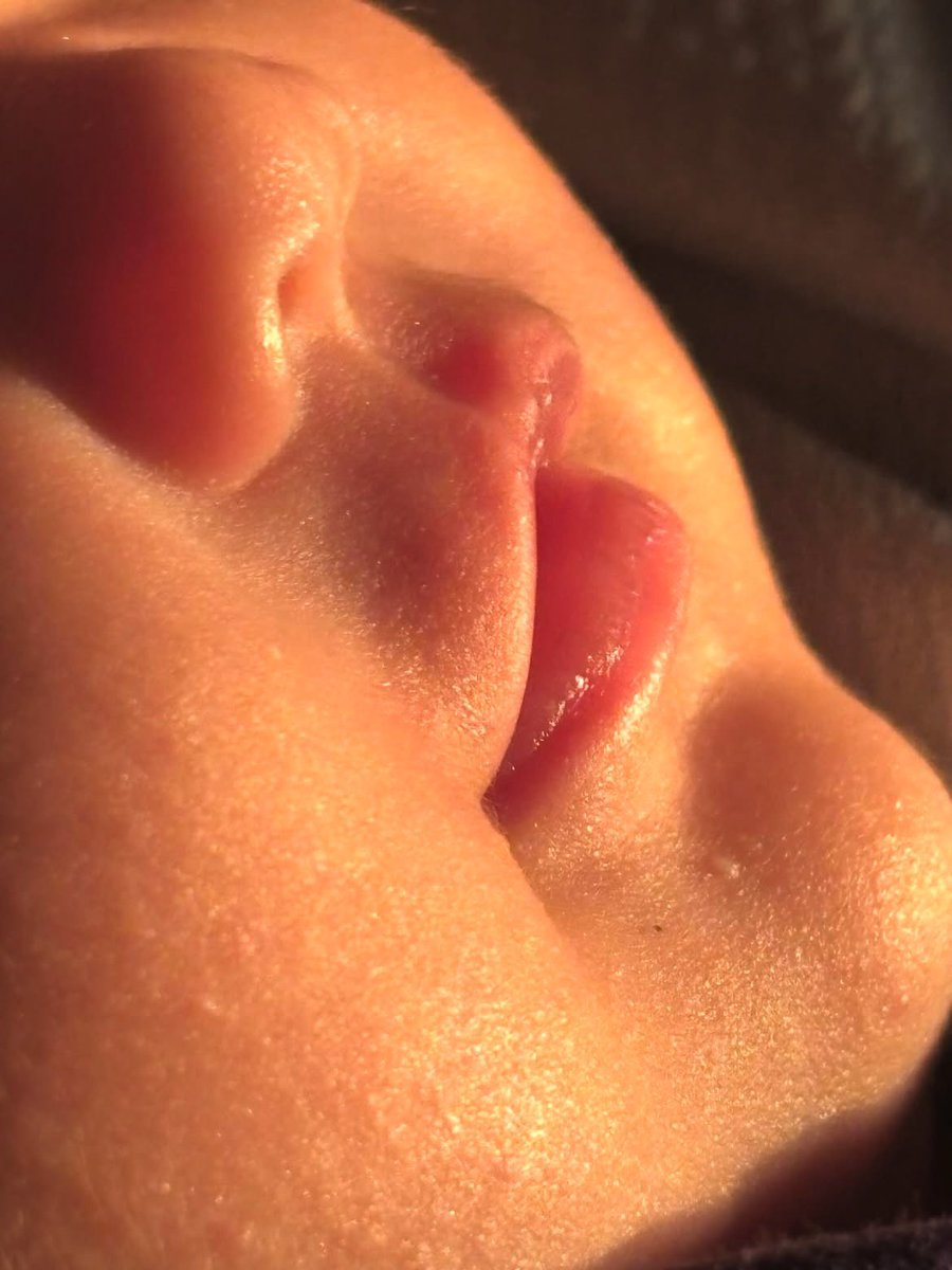 romesaakhaliq tweet media