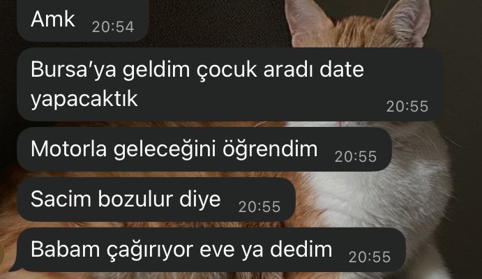 kaygısız aptal (@cuysed) on Twitter photo 