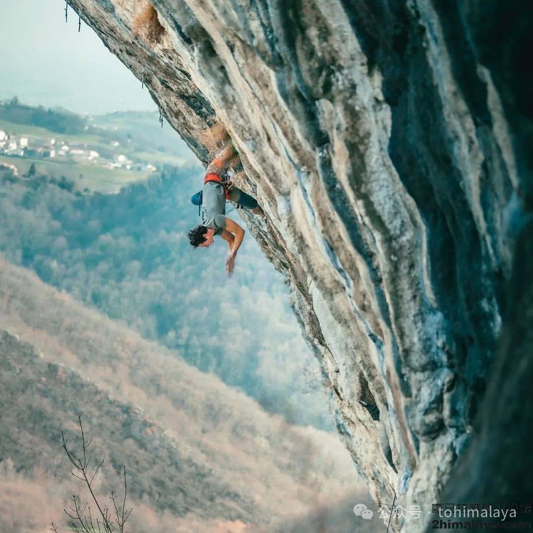 Md shadab Khan tweet media