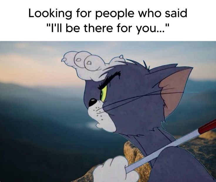 😼Tom🖕Jerry🔫 tweet media