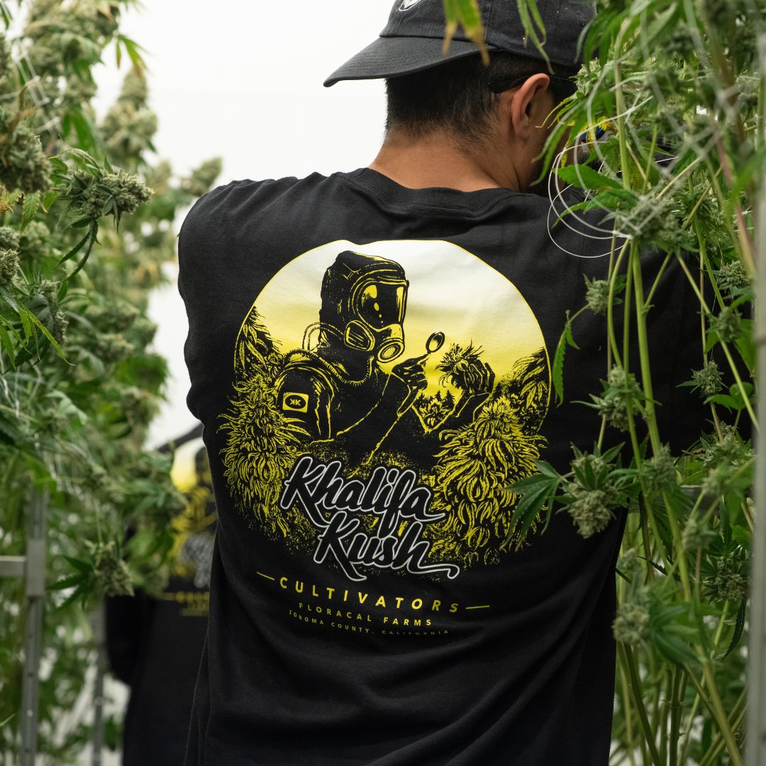 Trulieve PA tweet media