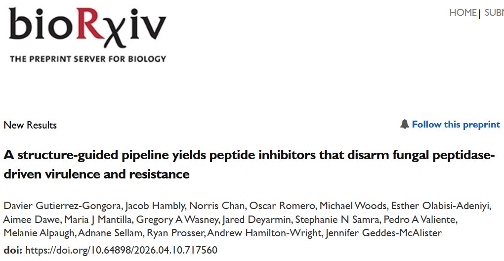 Davier Gutierrez-Gongora tweet media