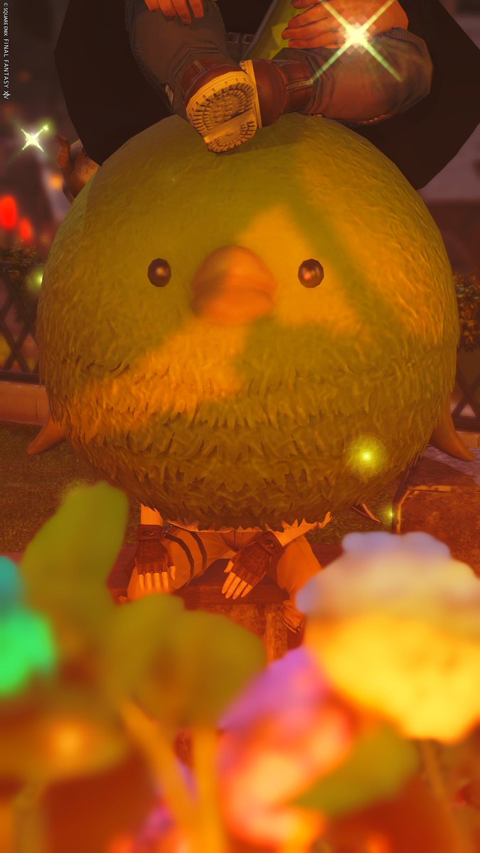 Reddemann tweet media