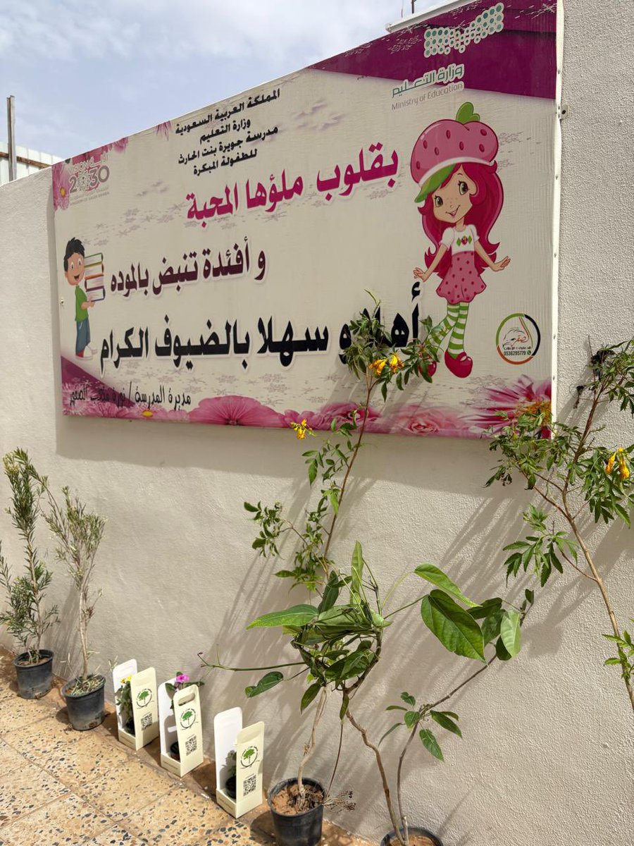 جمعية نجران الخضراء tweet media