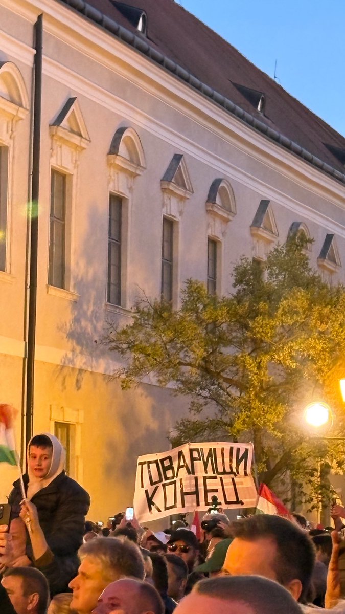 Flora Garamvolgyi tweet media