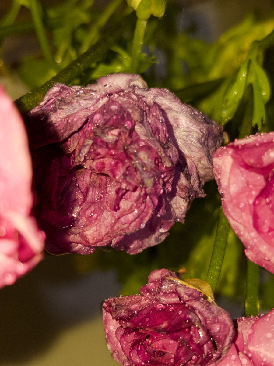 جا چییە tweet media