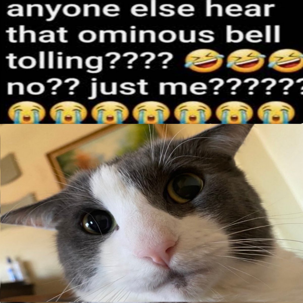 Troy 🍉 tweet media