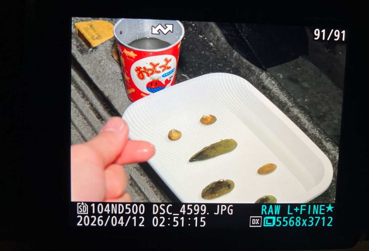 釜揚げしらす tweet media