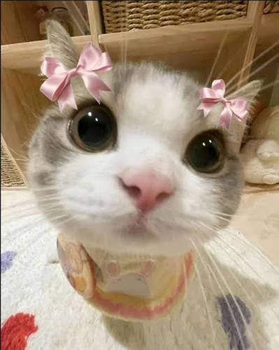 Carter 💜 tweet media