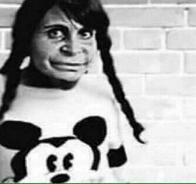 venus 🪭 tweet media