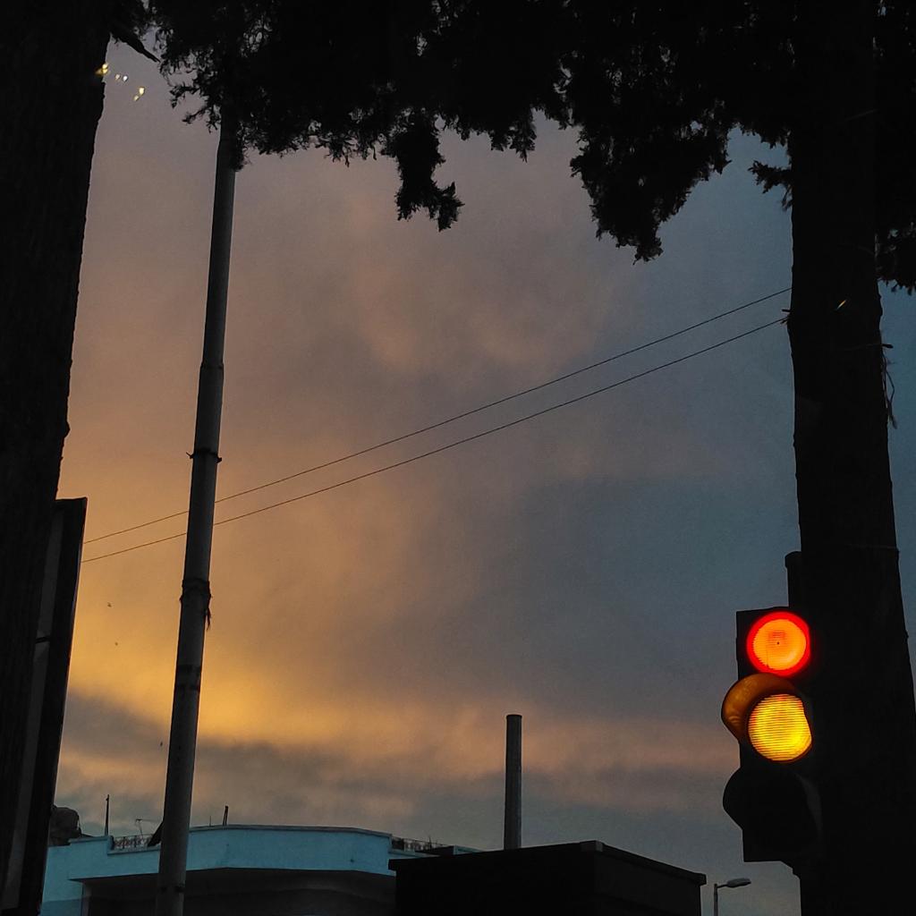 Lujain 🇸🇾 tweet media