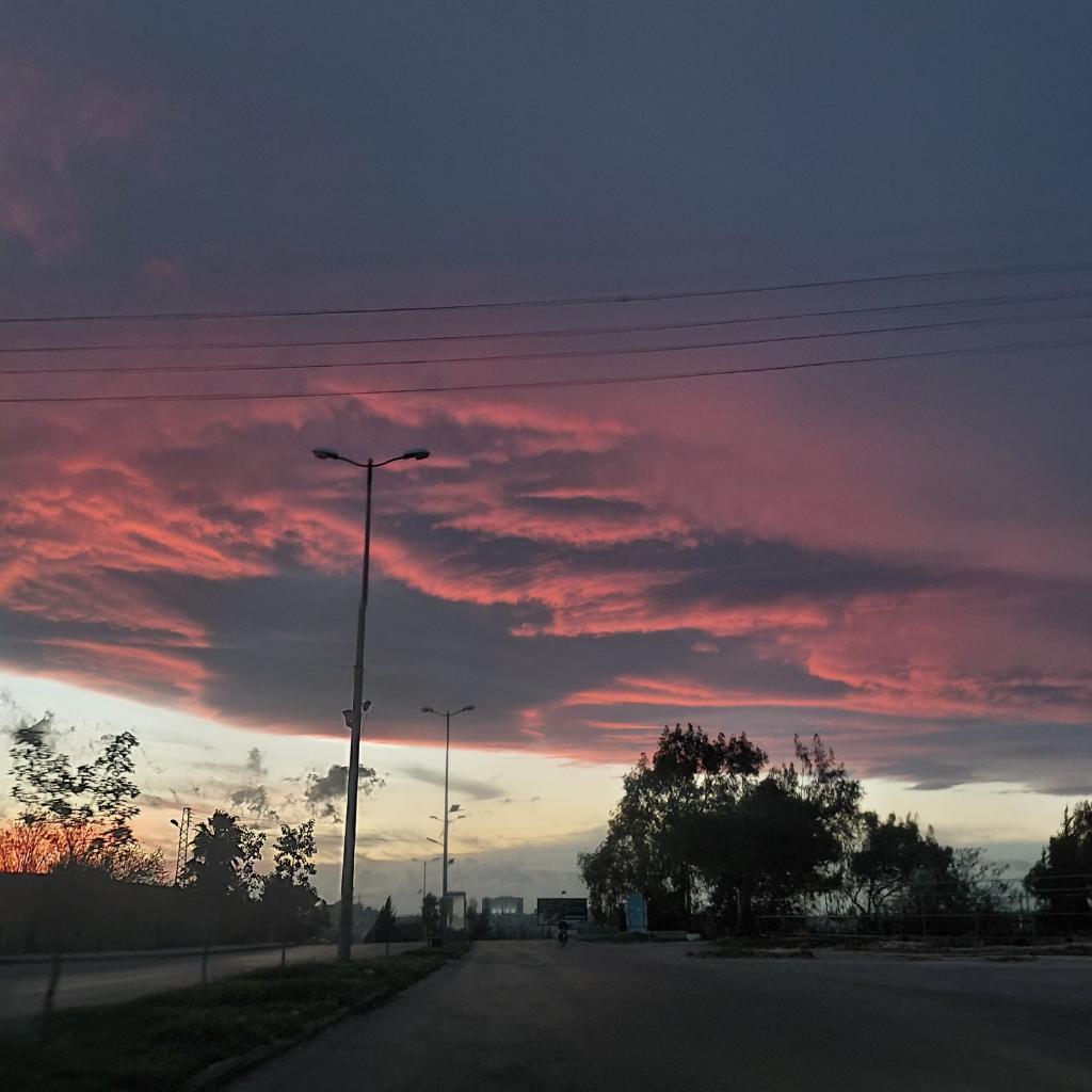 Lujain 🇸🇾 tweet media