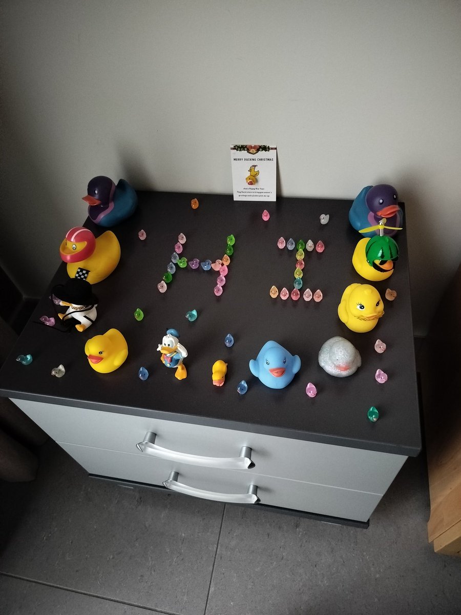 ThaEpicDoggo's tweet photo. 😎🦆 https://t.co/JWsm9ZvqSy
