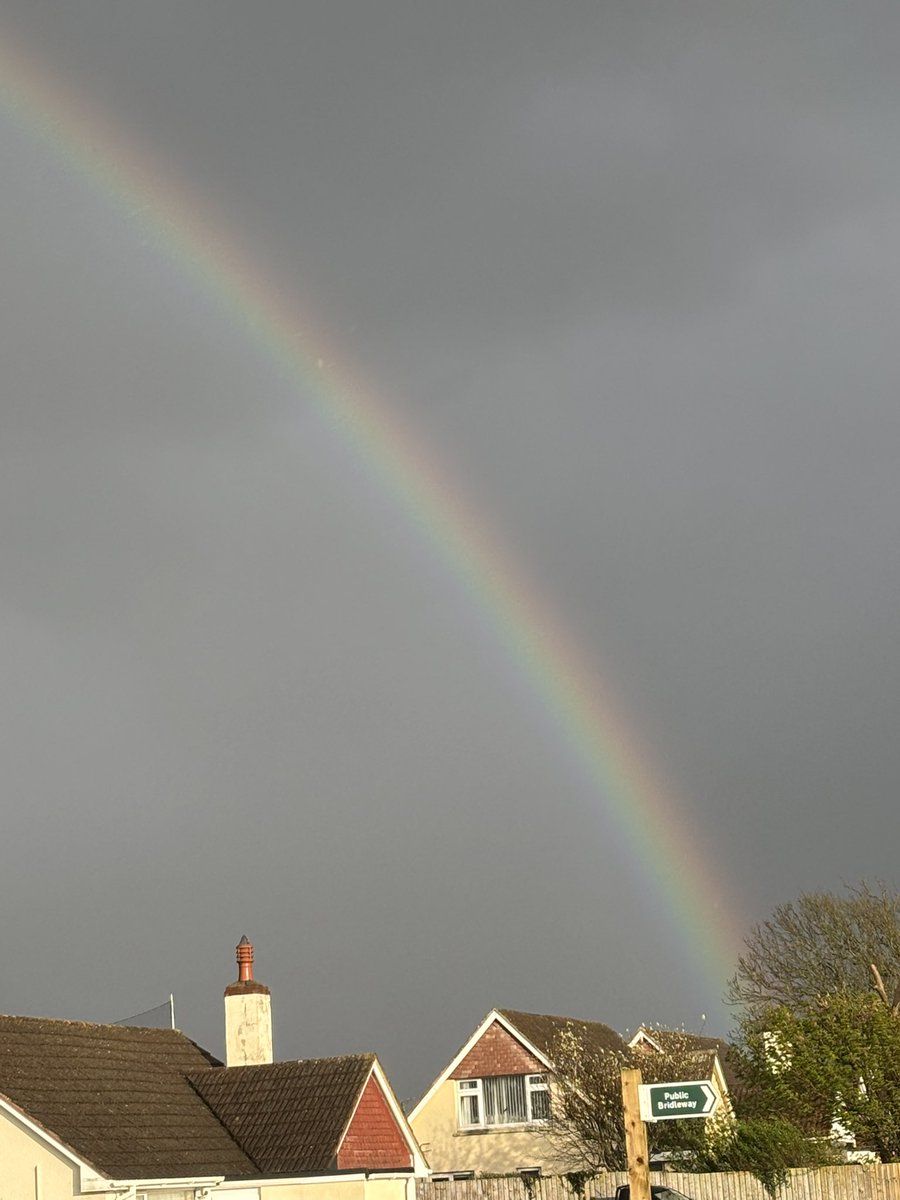 Miss Emony tweet media