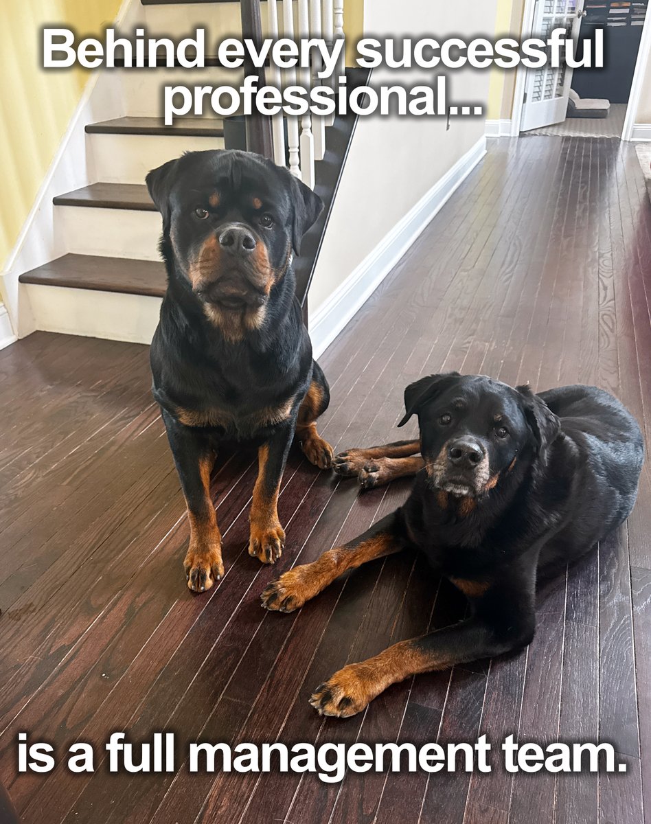 Kades-Margolis Corp. tweet media