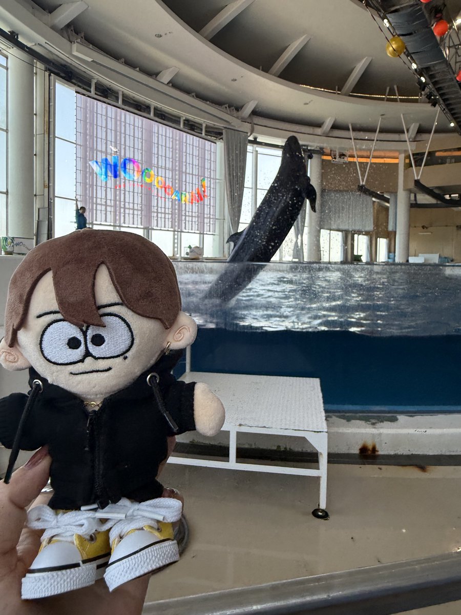 あや💛 tweet media