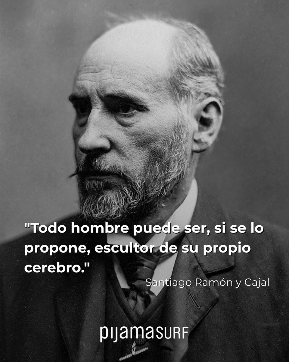 Pijama Surf tweet media