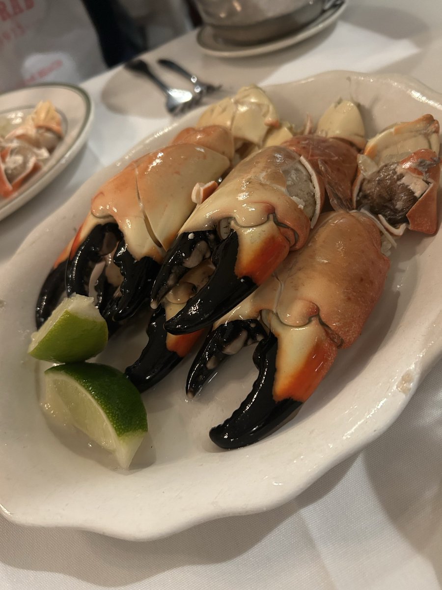 Jane_Arthur_'s tweet image. It’s great to be back 🌴☀️ #MiamiBeach