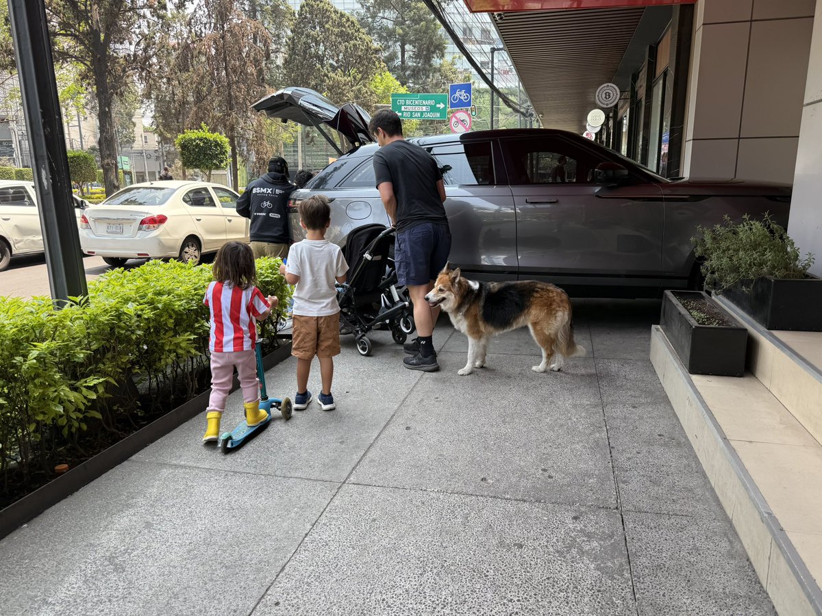 Mauricio García 🚴‍♂️ 🚧🎨 tweet media