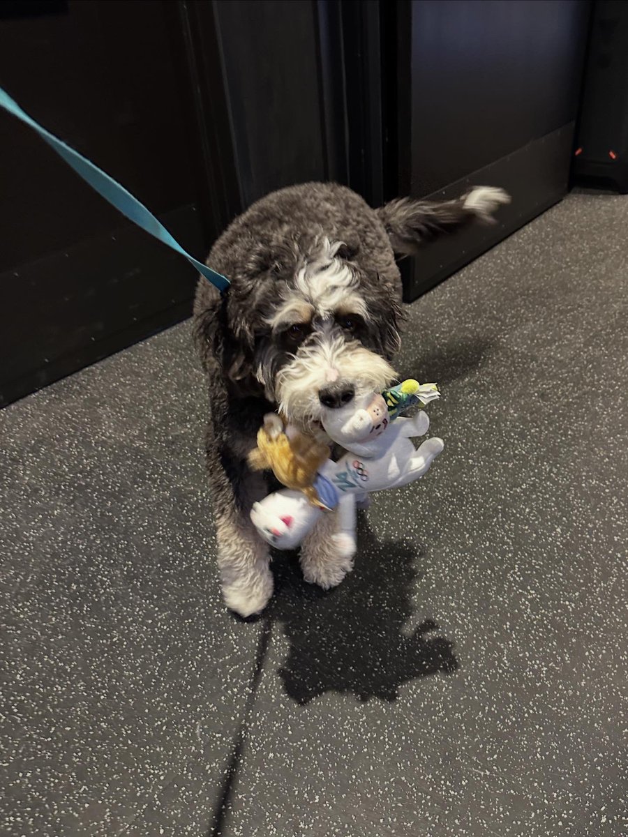 x - Utah Mammoth tweet media