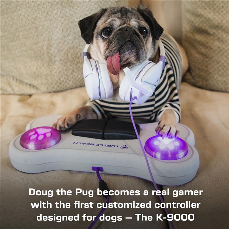 Turtle Beach tweet media