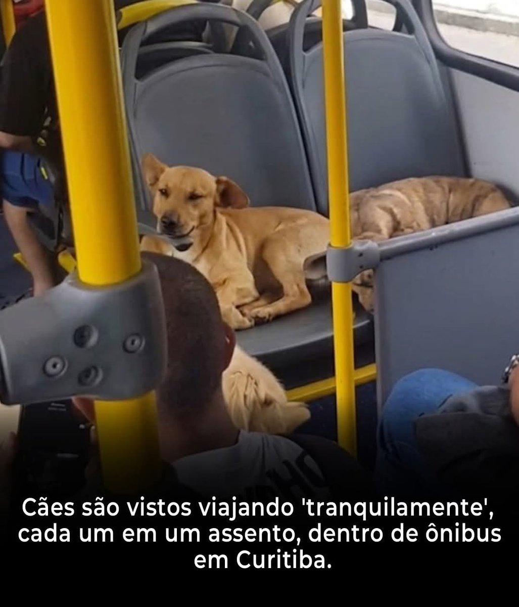 iti malias tweet media